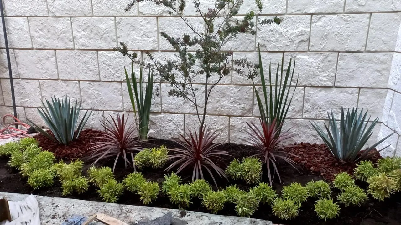 Jardinera moderna con agaves y cordylines