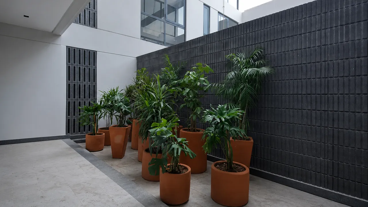 Patio tropical con macetas de barro