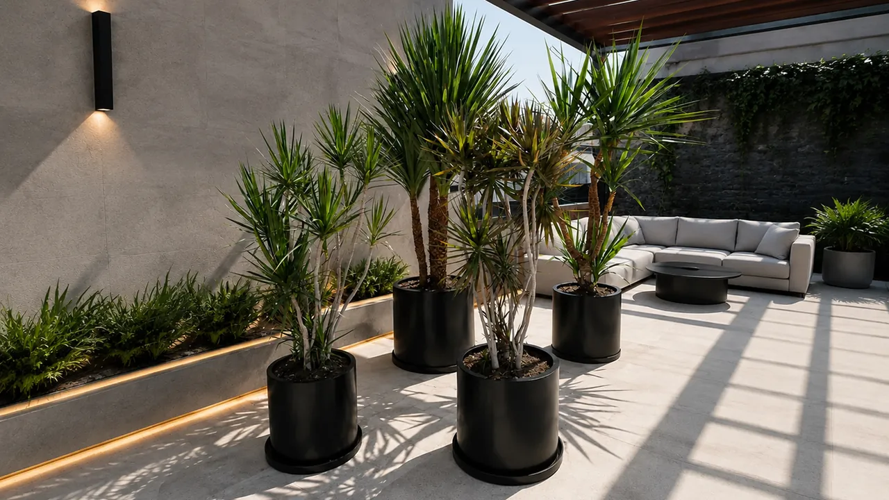Roof Garden