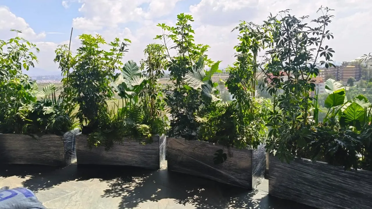 Jardineras tropicales en terraza